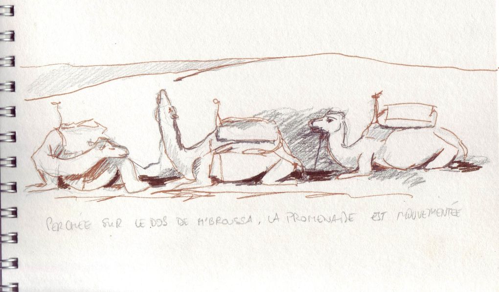 En 2005, lors d'un voyage au maroc, alors que tout le monde photographie, je m'essaye à la technique du croquis rapide...