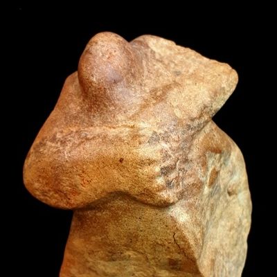 MÉFIANCE - Trésor de garrigue © -555/1001