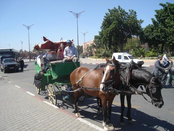 petite excursion au maroc