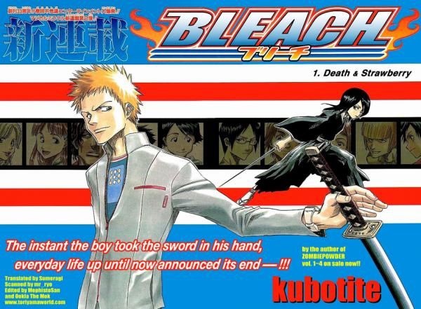 Album - Bleach