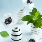 Papierblumen basteln: DIY Anemonen aus Krepppapier - Nicest Things