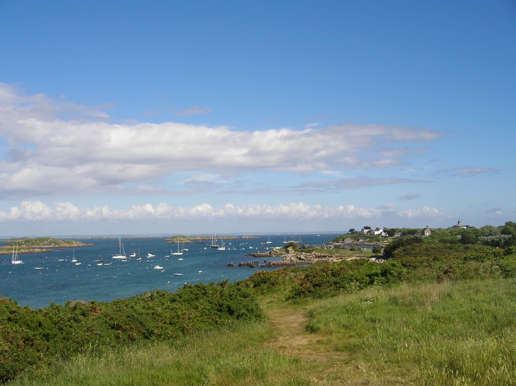 Album - Chausey-2011