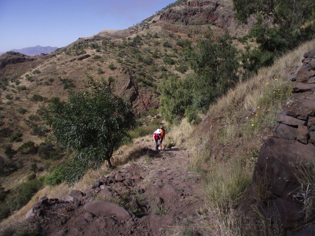 Saga africa...Voyage à Santa Antao et San Vincente (fin) 