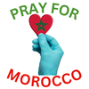  URGENT APPEAL: Support Morocco's Earthquake Victims Before the Rain Comes! 