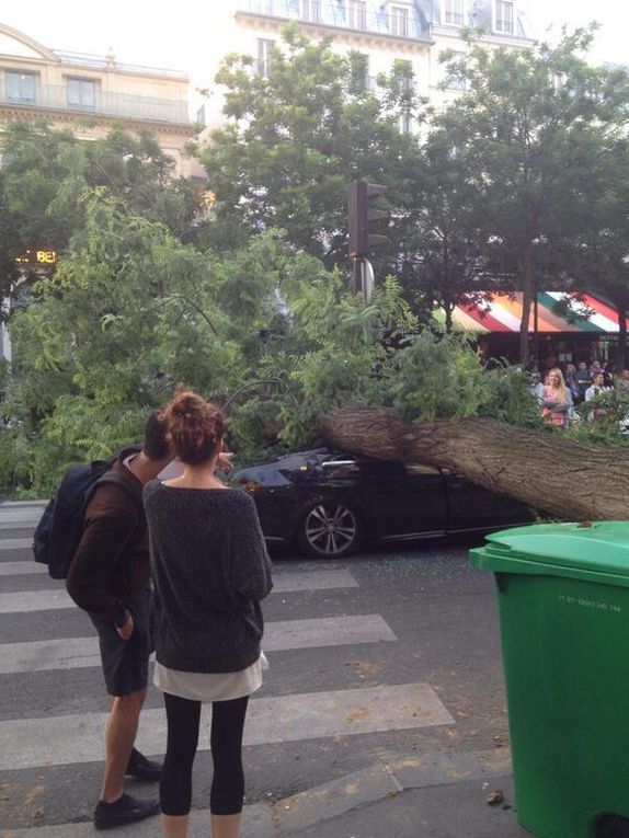 UN ARBRE S'ECRASE SUR UN VTC A PARIS!?!?