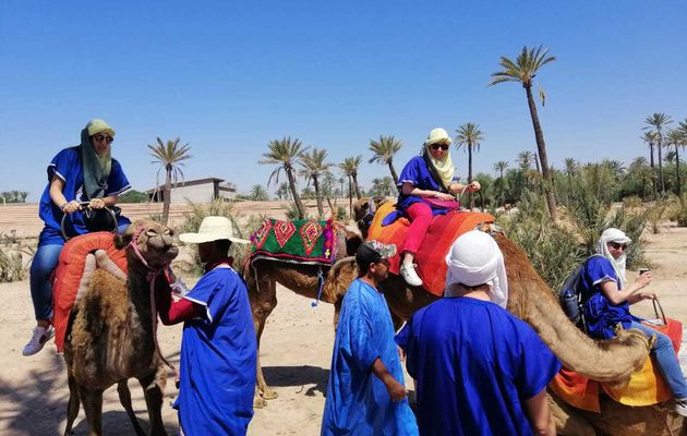 Excursion Marrakech