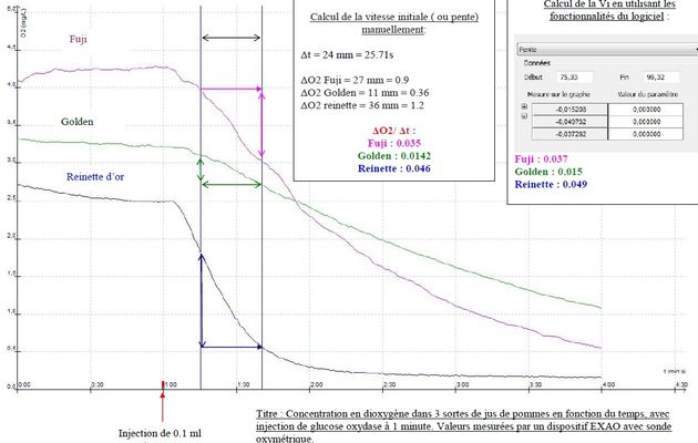 Pomme taux de sucre