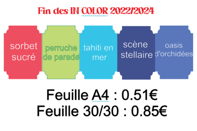 IN COLOR 2022/2024 c'est la fin