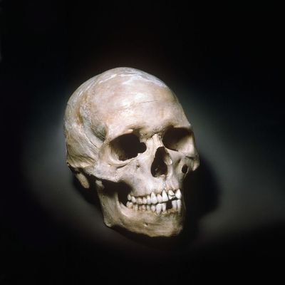 Et si l'Homo Sapiens ne venait pas d'Afrique ? Mais d'Asie ? La découverte de la Grotte de Fuyan. 