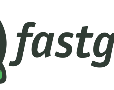 Fastgecko Review