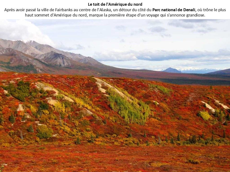 Américaine - La route Panaméricaine