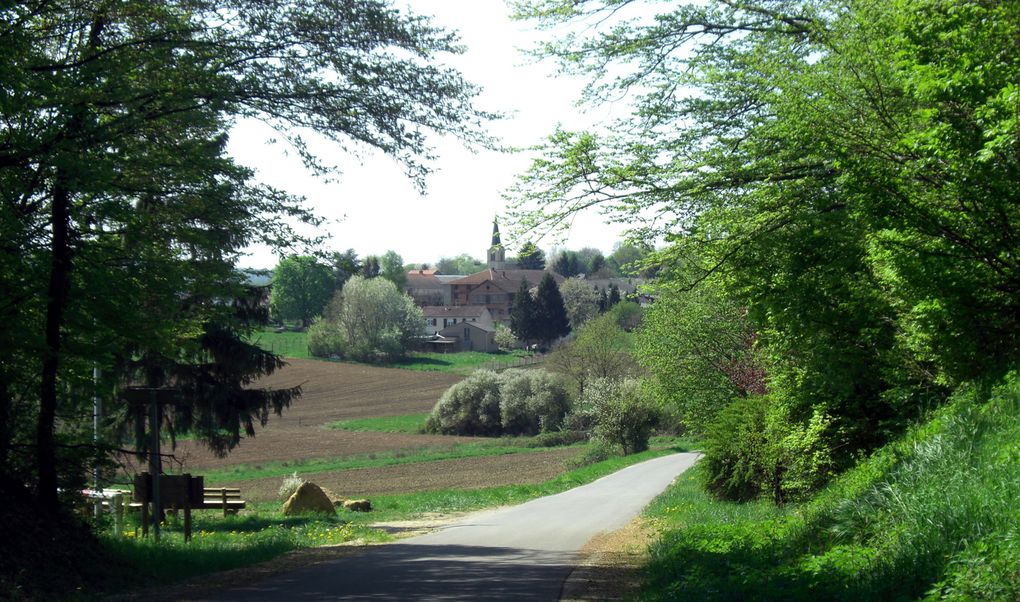 Hestroff au mois d'avril. Quelques images pour tous les camarades expatriés. 