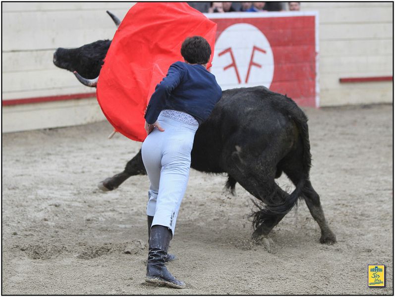 DIAPORAMA DE LA FAENA DE SERGIO PAEZ