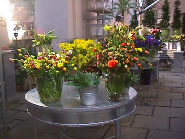 Sous le bel immeuble de la bourse de Vienne, en entre-sol, s'est install&eacute; cette sublime boutique de fleurs d'avant garde, que je vous invite &agrave; parcourir virtuellement.