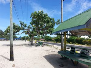 Les îles Samoa – Savai’i