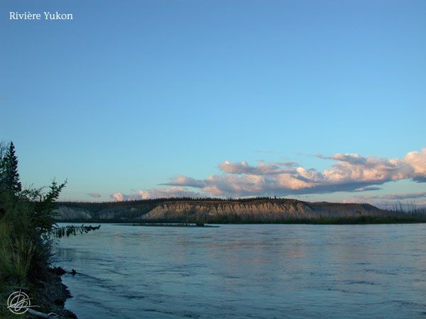 Été 2008 : Rivières Big Salmon et Yukon