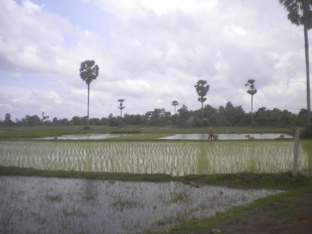 de Battambang à Banlung en passant par Siem Reap, Kompong Thom, Kompong Cham, Kratie