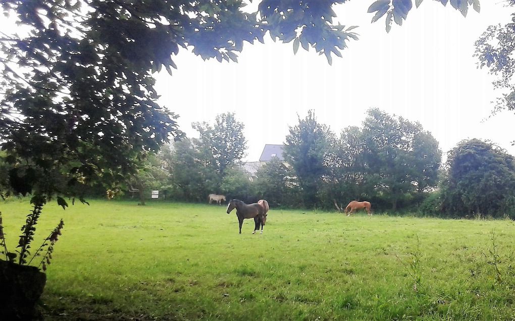 Petite promenade à la campagne