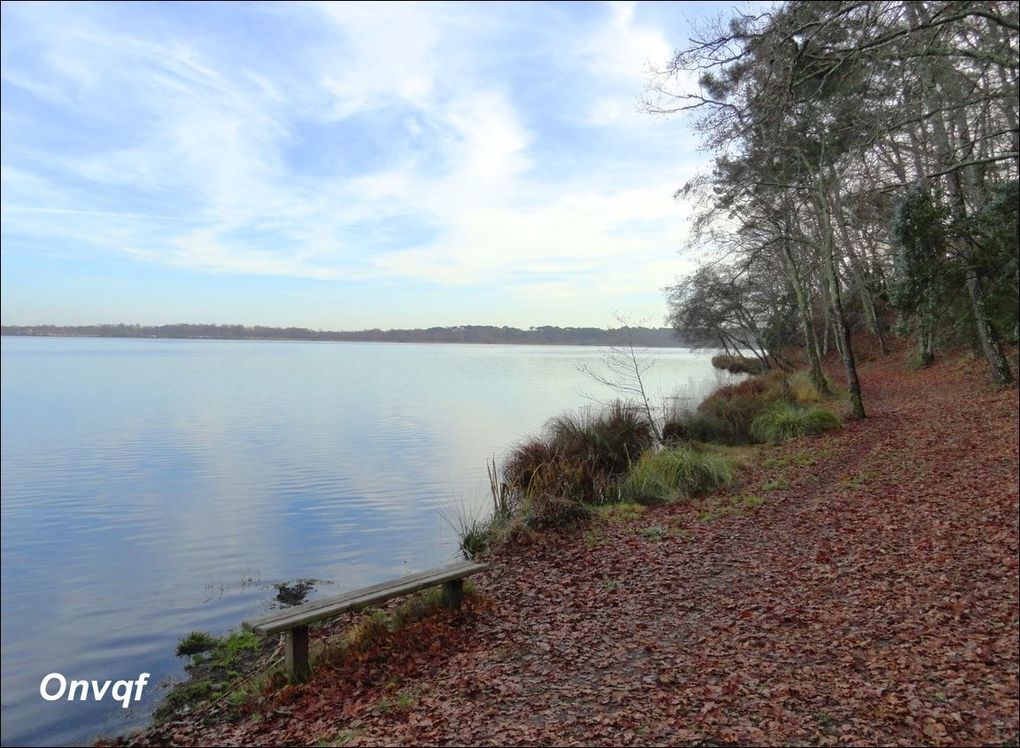 Etang de Mimizan  / Etang d'Aureilhan (Landes 40) AA Promenade