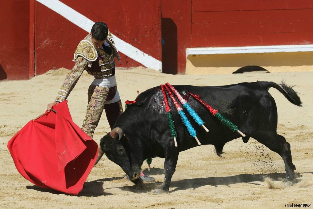   BAYONNE. FERIA DE L’ATLANTIQUE. I