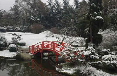 Toulouse - visite du jardin japonais sous la neige