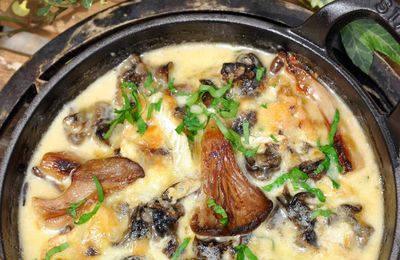 Cassolettes d'escargots aux pleurotes et Camembert