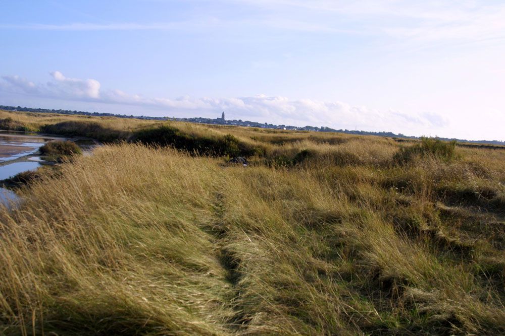 Images des marais salants de Gu&eacute;rande&nbsp;au lever du soleil