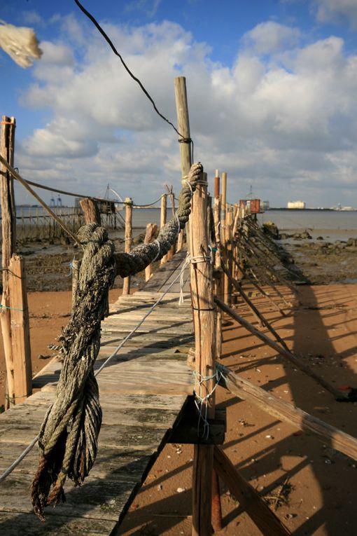 Album - Estuaire de la Loire