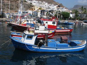 Quittez Las Palmas, et prenez la route côtière du Nord-Ouest de GC: des a-pics impressionnants, des plages sauvages, et une nature vierge vous attendent!