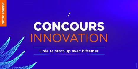 #Startup #Oceans #Concours #mentorat : Vous avez un projet d’innovation en lien avec l’océan ? L’Ifremer vous aide à créer votre start-up !