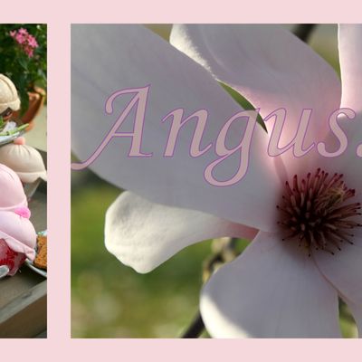 angus.bdd