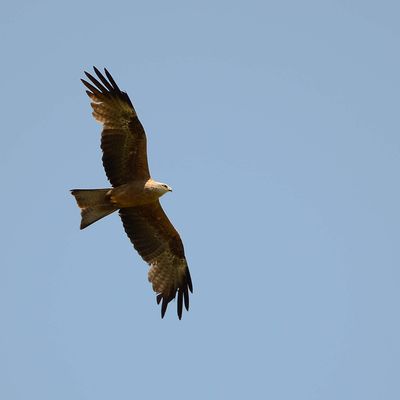 La Lettre de L'ODS Juin 2022