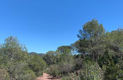 LES MARES DE LA BOUVERIE 02-04-24