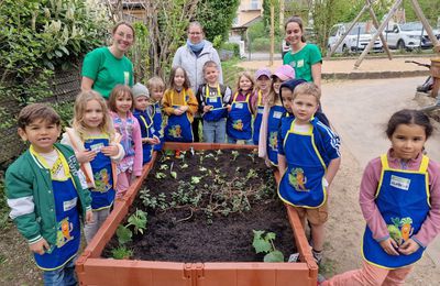Tolle Pflanzaktion der Edeka-Stiftung: Kids ziehen im Veitshöchheimer Kuratie-Kindergarten im Hochbeet ihr eigenes Gemüse groß 