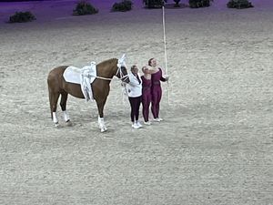 Championnat du monde de gym sur cheval - la voltige