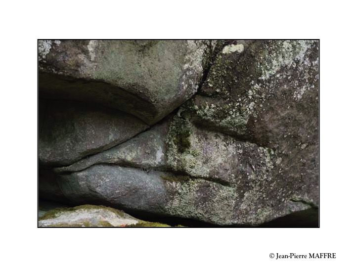 Quelle belle découverte que cette profusion de rochers aux formes insolites qui peuplent l'inoubliable forêt de Fontainebleau.