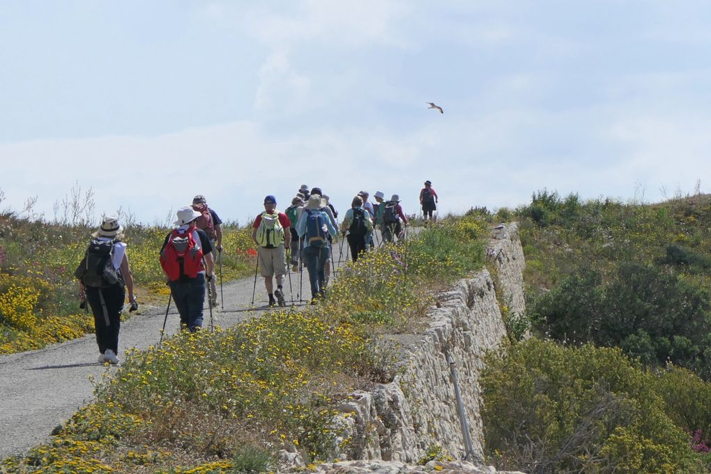 2025-04-29 Marche Nordique au Frioul