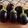 aubergines baby autrement