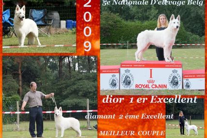 resultat de la 5 ieme nationale d'élevage en belgique