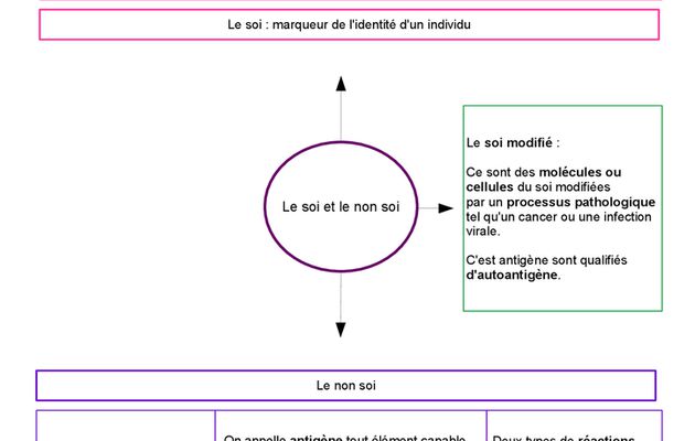 Cours biologie ST2S : Immunité : soi et non soi