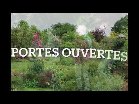Rétroscpective 2024 en montage vidéo