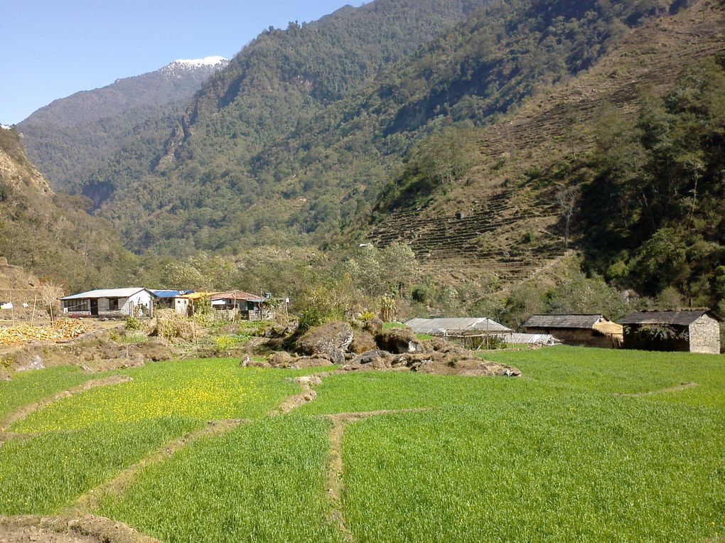 Album - Trek vers l'Annapurna Sud