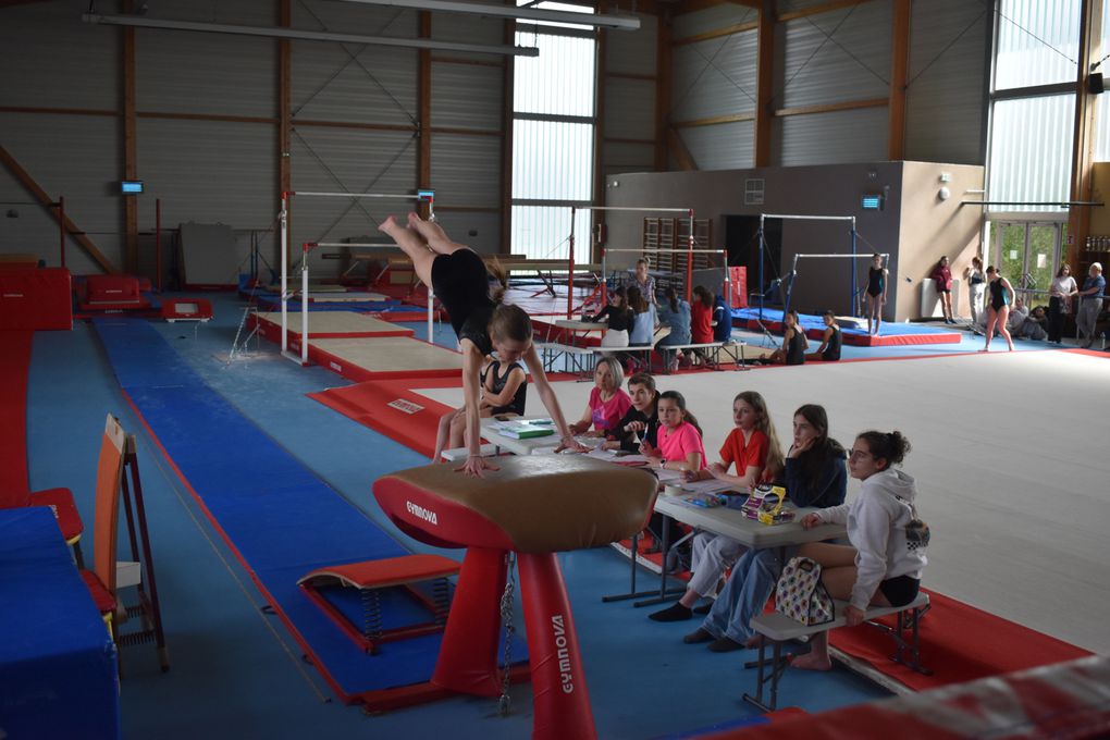 CHAMPIONNAT DEPARTEMENTAL GYMNASTIQUE 2023/2024