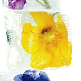 La recette miracle pour faire venir le printemps !