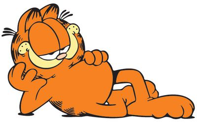 Garfield vous connaissez
