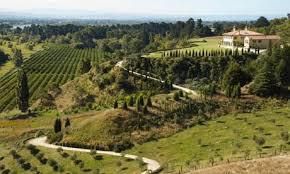 #Riesling Producers Hawke s Bay Region New Zealand Vineyards 