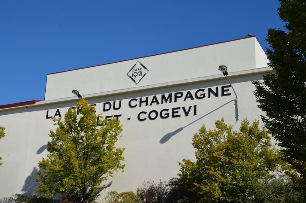 Dans les salons du Champagne COLLET-COGEVI suivi de la visite des caves et de la  Maison COGEVI
