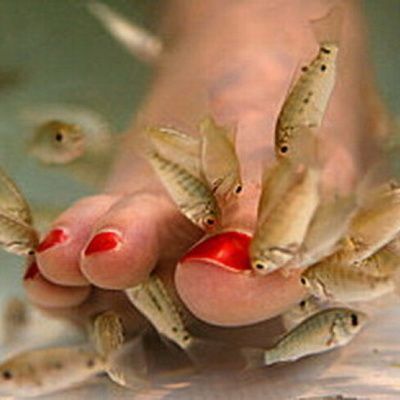 De beaux petits pieds grâce à de jolis petits poissons !!