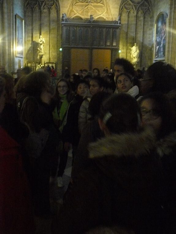 Visite de Notre-Dame de Paris le 15/11/2013