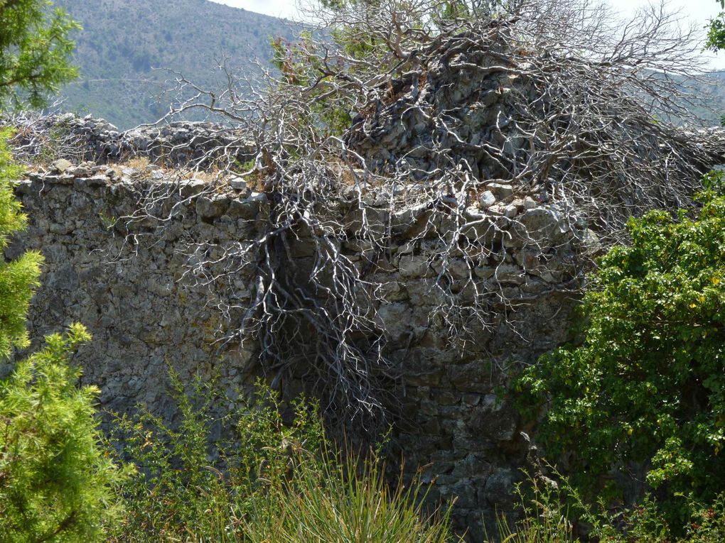 Le 14 août 2012, une balade avec Lucy dans les ruines de Châteauneuf-Villevieille.